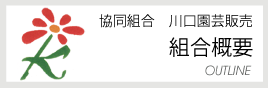 組合概要