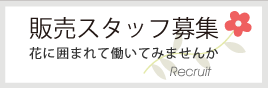 スタッフ募集