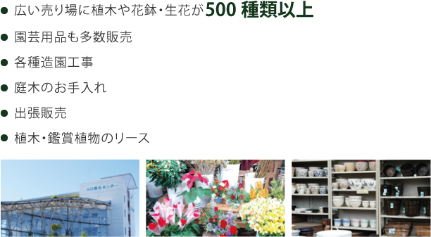 広い売り場に花鉢や生花が500種類、園芸用品も多数販売。