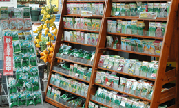 敬老の日フラワー