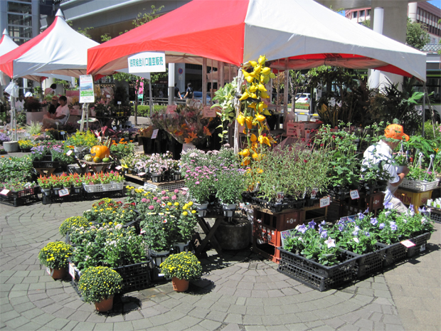 秋の園芸フェスタ