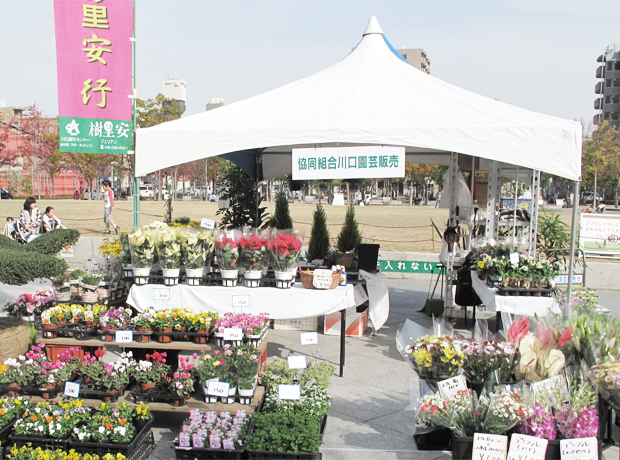 並木元町公園花植木市