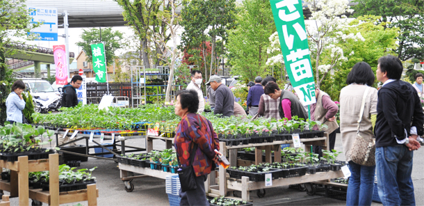 花と緑の感謝ウィーク