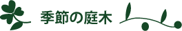 季節の庭木