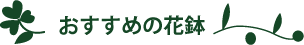 おすすめの花鉢