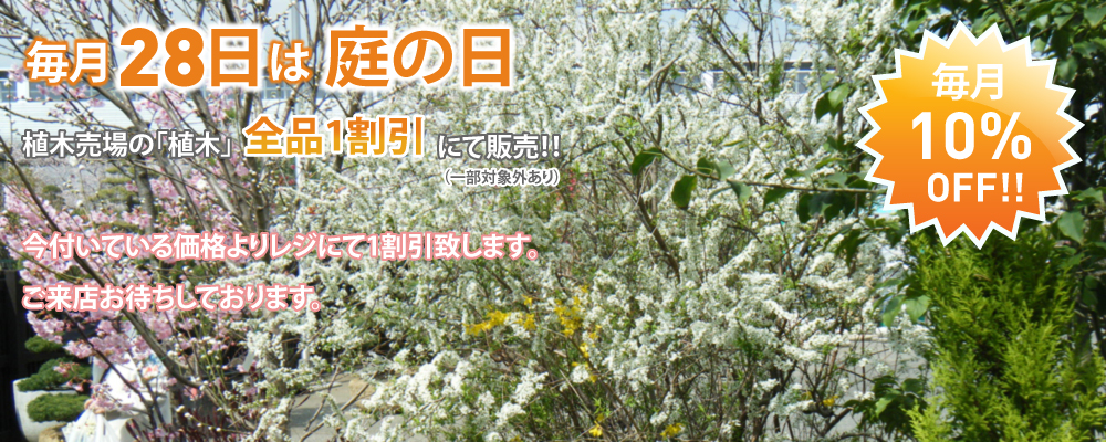 庭木の日