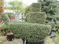 トピアリー　舟